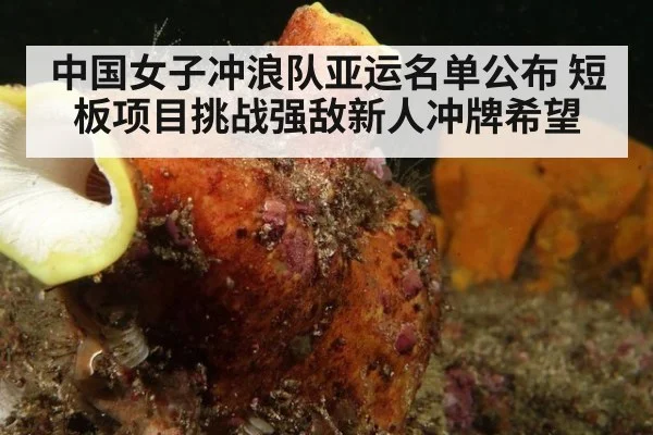 中国女子冲浪队亚运名单公布 短板项目挑战强敌新人冲牌希望