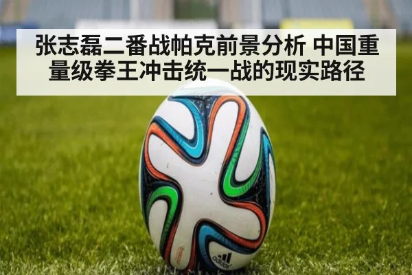 张志磊二番战帕克前景分析 中国重量级拳王冲击统一战的现实路径